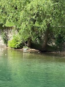 ambientazione-in-transito-2-11