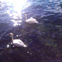 2014-02-09 10.16.31